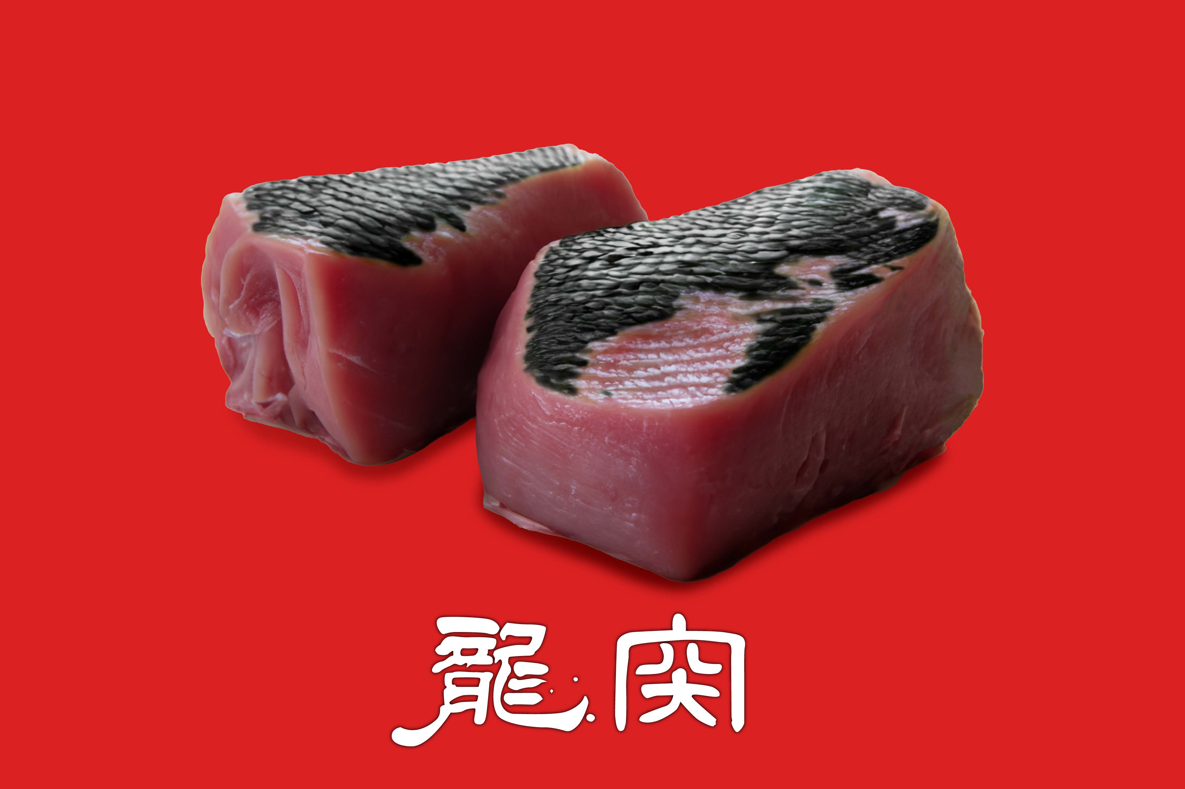 龍肉